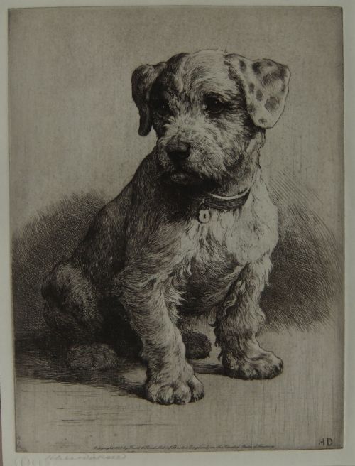 Herbert Dicksee "A Sealyham Pup" Etching