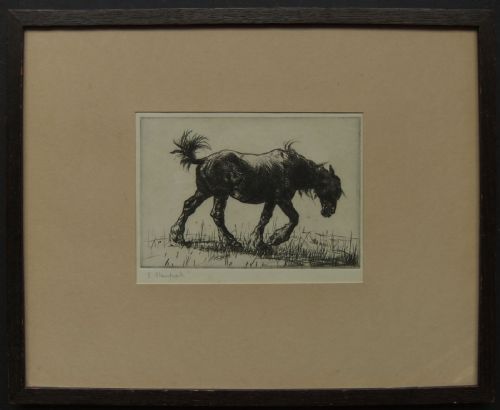 fig 1. Edmund Blampied