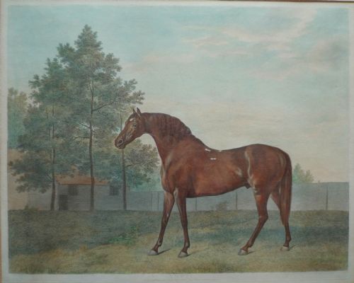 GEORGE STUBBS RACEHORSES FOUR ENGRAVINGS DATED 1794 - ADDITIONAL PHOTO 3