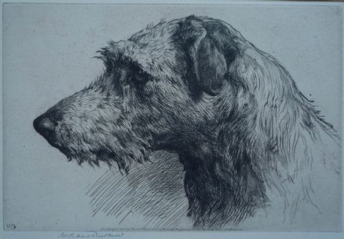 Herbert Dicksee "A Scottish Deerhound" Etching