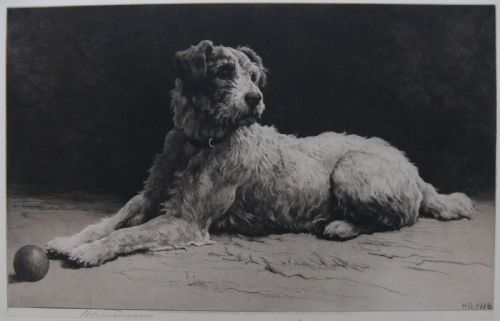 Herbert Dicksee "Ready" Etching