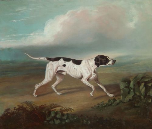 Lucas Beattie "Pointer in a Landscape" Oil Painting.