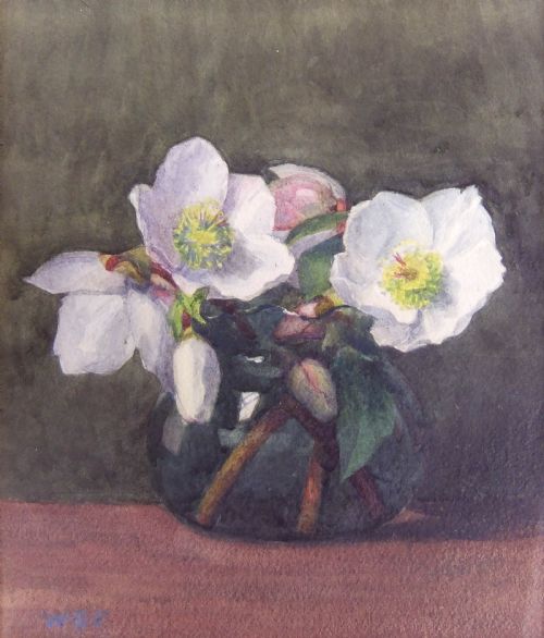 fig 1. William Edward Fox 