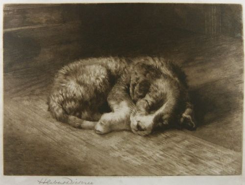 Herbert Dicksee "His First Night from Home" Etching