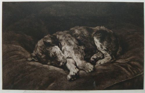 Herbert Dicksee "On Velvet" Original Etching