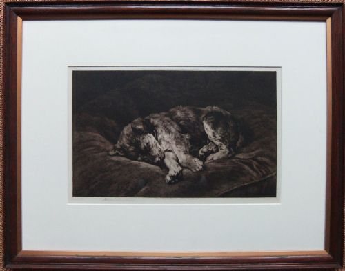 fig 1. An original sepia etching depicting a terrier curled up sleeping on a large cushion, signed in pencil in the lower margin.