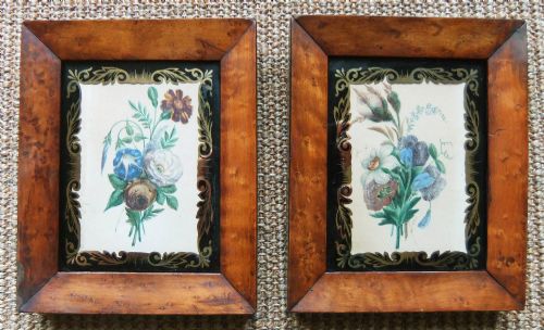 English School C1840 Pair Flower Watercolours