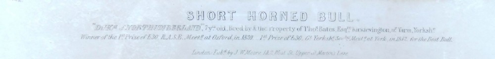 H.Strafford 