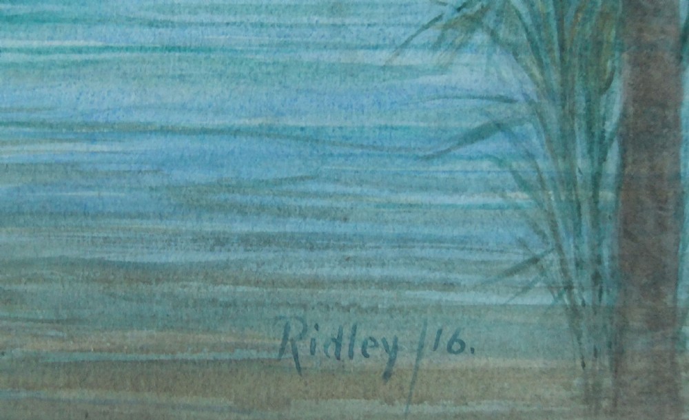 Edward Ridley 