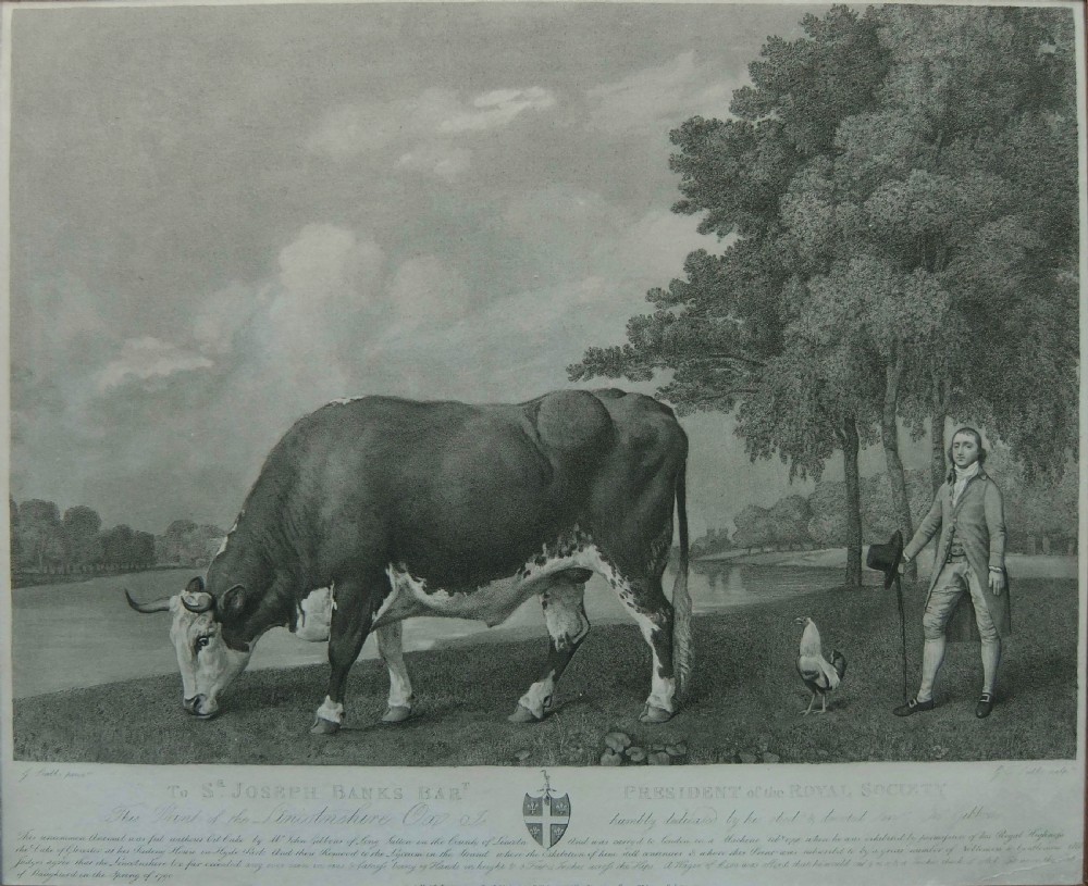 George Stubbs 