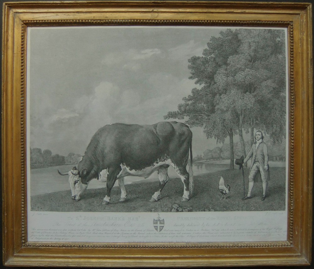 George Stubbs 