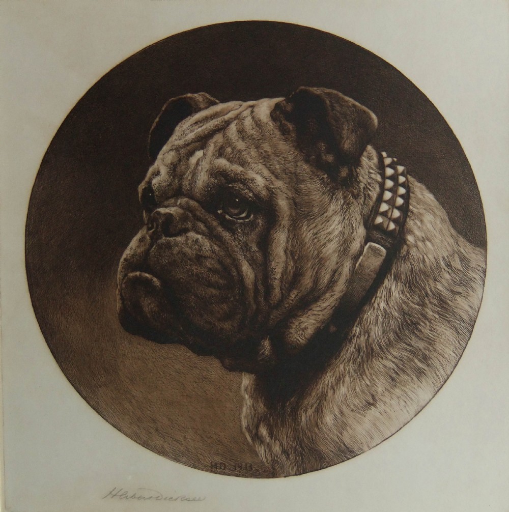 A circular monochrome etching depicting the head and neck profile of a British Bulldog wearing a studded collar.