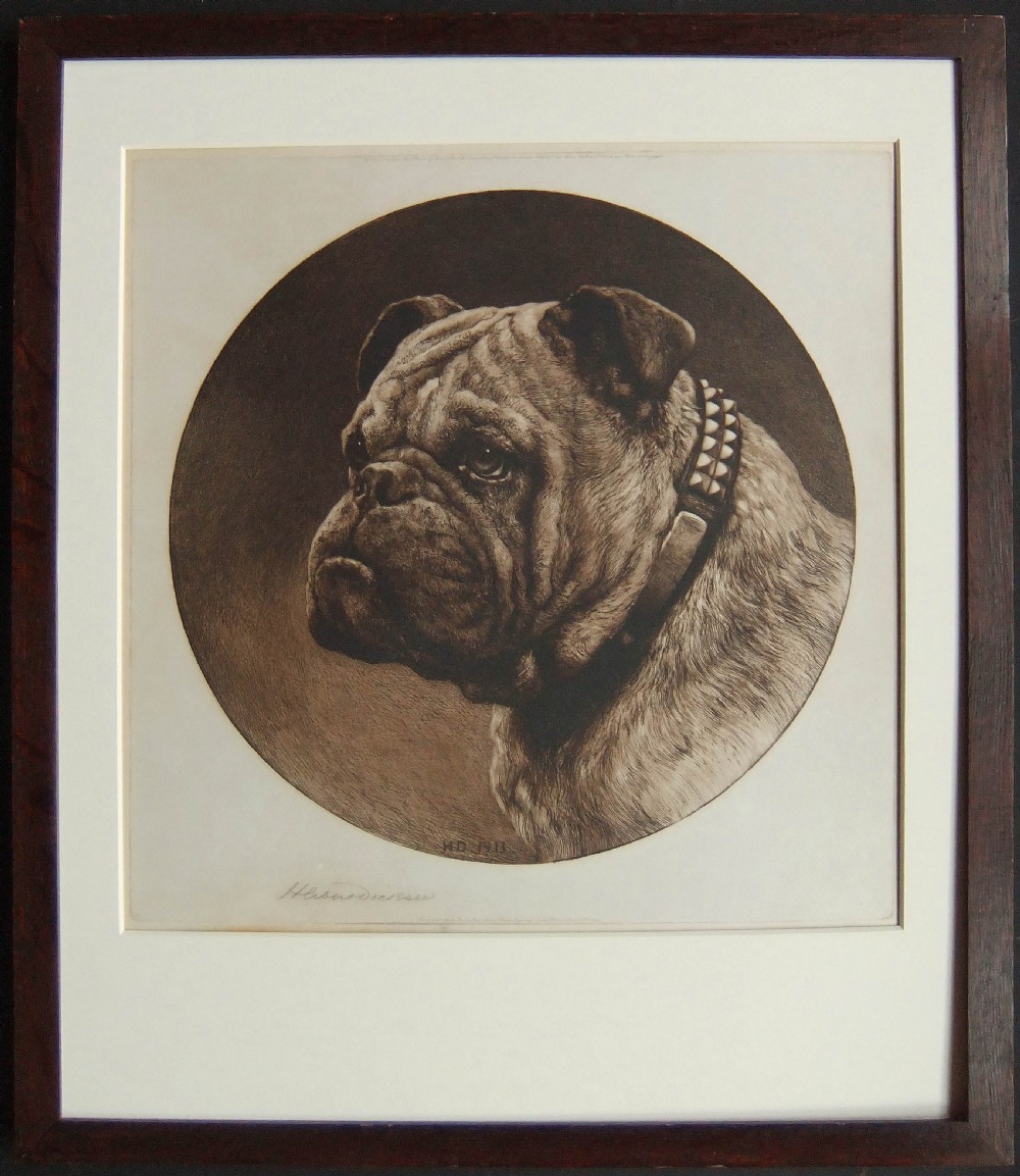 A circular monochrome etching depicting the head and neck profile of a British Bulldog wearing a studded collar. View II