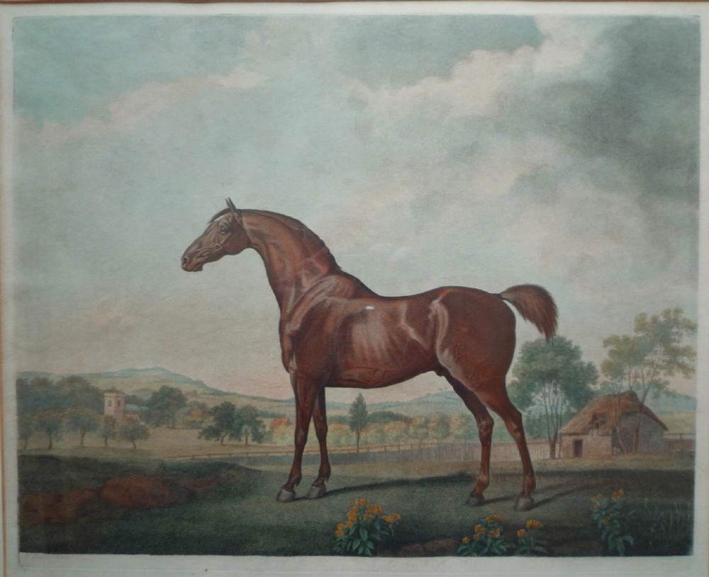 George Stubbs 