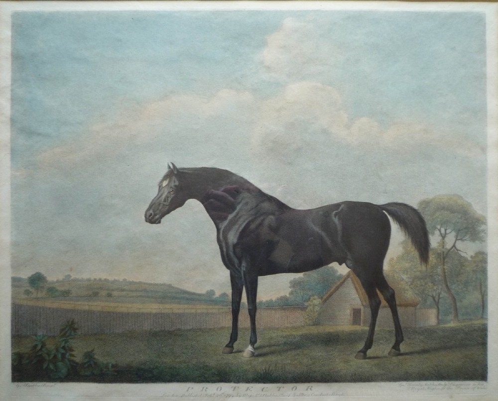 George Stubbs 