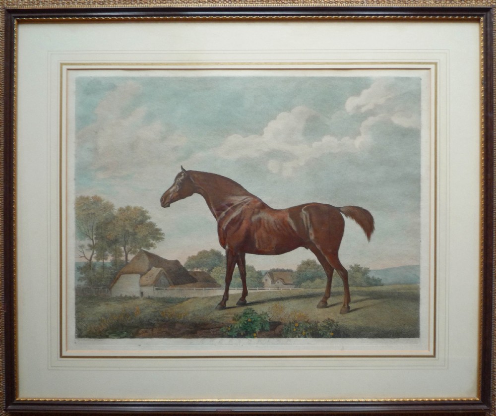 George Stubbs 