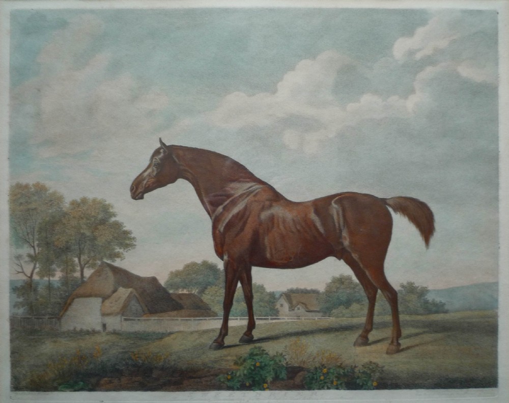 George Stubbs 