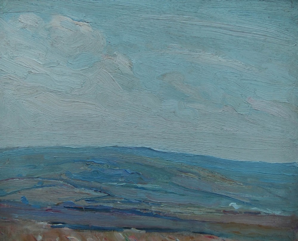 An impressionistic landscape oil painting depicting Danby Moor under an overcast sky with textured brushwork in shades of blue, grey, and ochre.