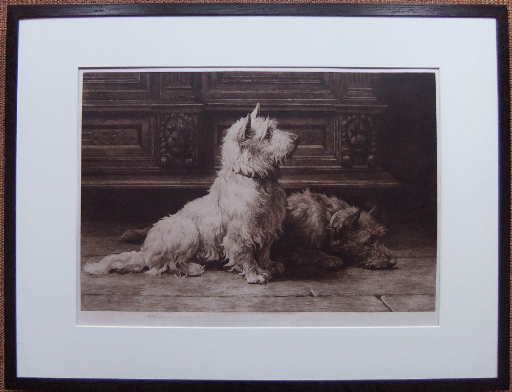 An original sepia etching titled Footsteps by Herbert Dicksee depicting two terriers resting on a stone floor beside carved timber panelling. View II