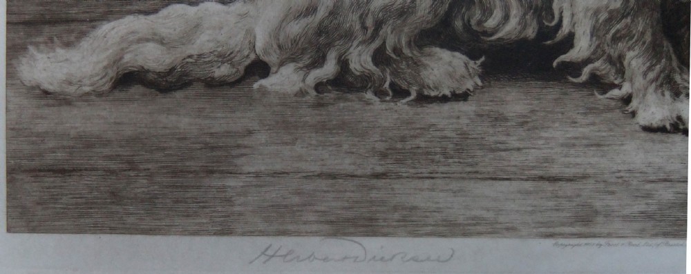 An original sepia etching titled Footsteps by Herbert Dicksee depicting two terriers resting on a stone floor beside carved timber panelling. View III