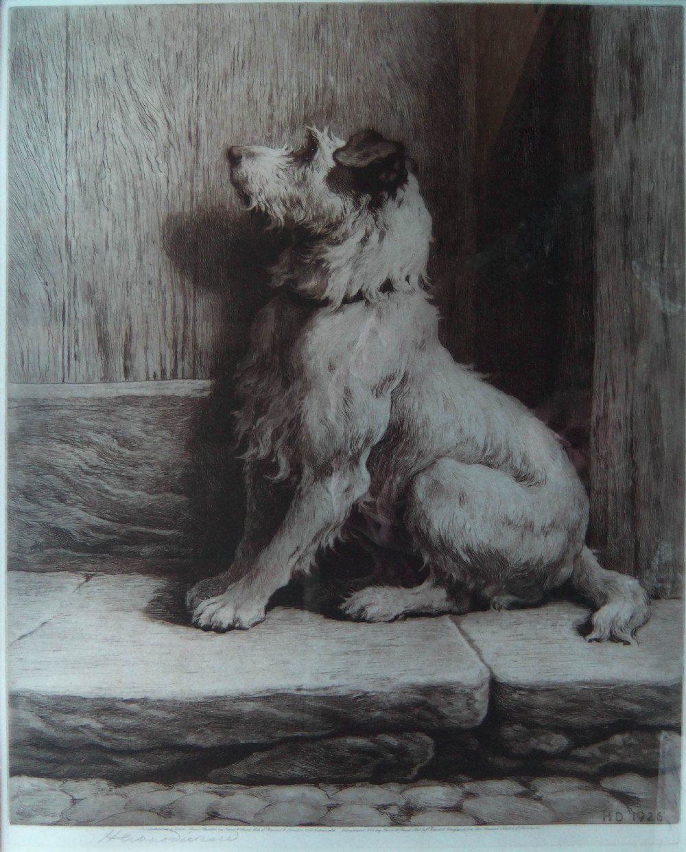 A monochrome etching depicting a wire-haired terrier sitting on a stone step beside a wooden door, signed in pencil by Herbert Dicksee.