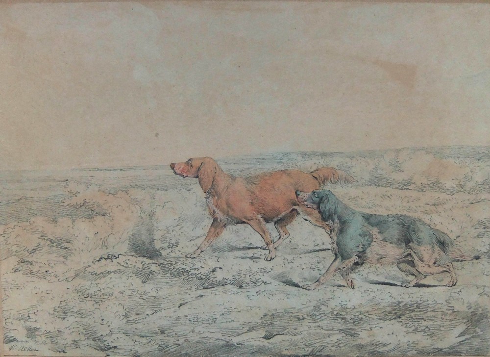 A nineteenth-century pencil and watercolour drawing depicting two sporting setters running in profile across an open landscape, signed by Henry Alken.