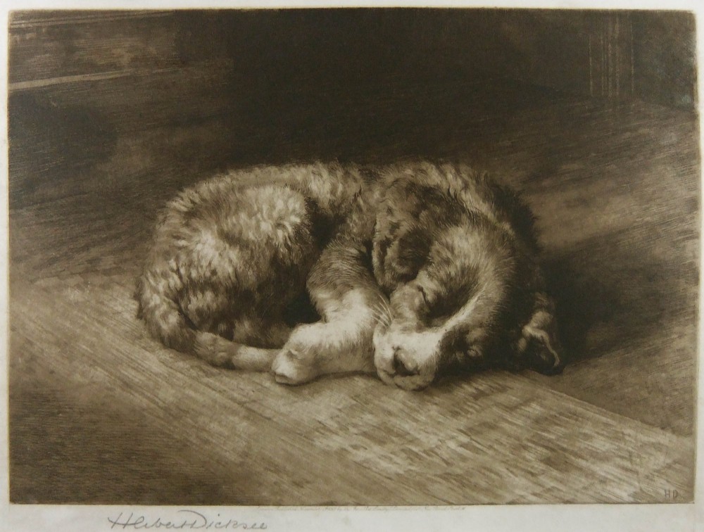 A sepia etching depicting a small puppy curled up asleep on timber floorboards with an artist signature in the lower margin.