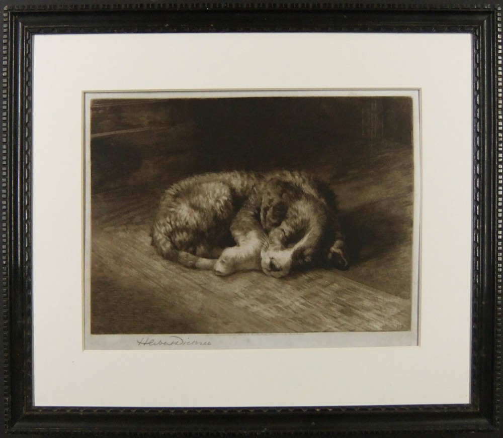 A sepia etching depicting a small puppy curled up asleep on timber floorboards with an artist signature in the lower margin. View II