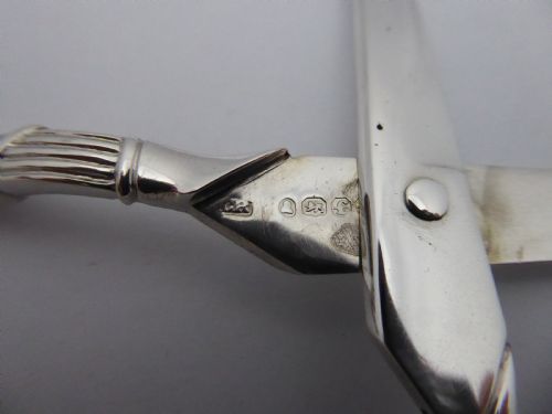 SOLID SILVER GEORGIAN GRAPE SCISSORS - ADDITIONAL PHOTO 10