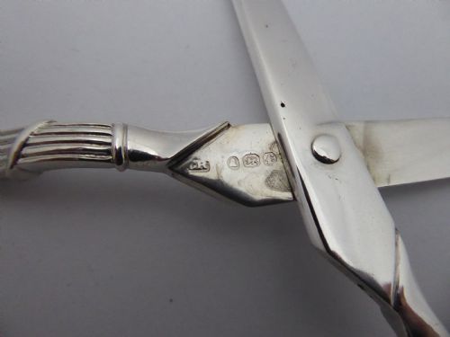 SOLID SILVER GEORGIAN GRAPE SCISSORS - ADDITIONAL PHOTO 11