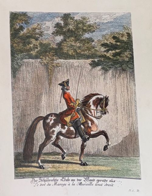 fig 1. A large burr wood framed set of six hand-coloured 18th-century copperplate engravings depicting equestrian dressage riders on horseback.