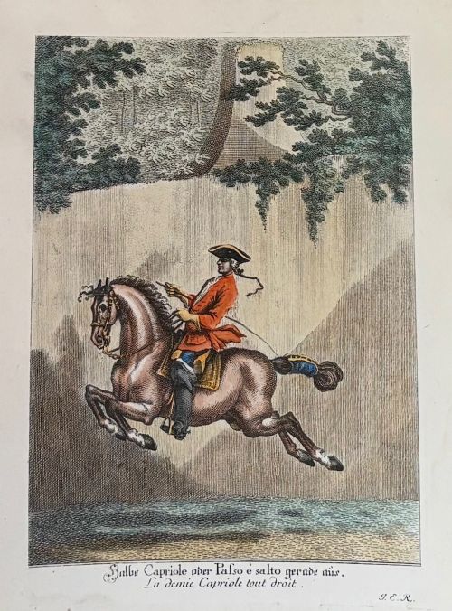 fig 5. A large burr wood framed set of six hand-coloured 18th-century copperplate engravings depicting equestrian dressage riders on horseback.
