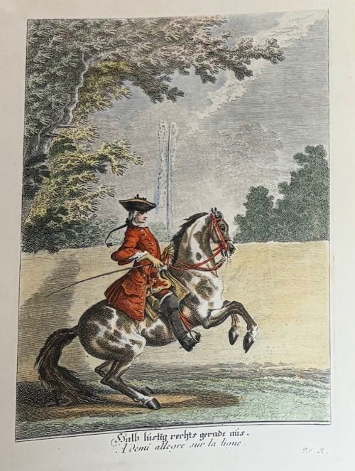 fig 6. A large burr wood framed set of six hand-coloured 18th-century copperplate engravings depicting equestrian dressage riders on horseback.