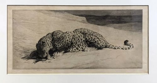 HERBERT DICKSEE ETCHING ON PAPER 1920 SIGNED ART PROOF LTD ED LEOPARD JUNGLE FOWL - ADDITIONAL PHOTO 1