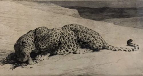 HERBERT DICKSEE ETCHING ON PAPER 1920 SIGNED ART PROOF LTD ED LEOPARD JUNGLE FOWL - ADDITIONAL PHOTO 2