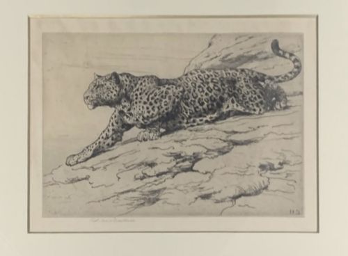 HERBERT DICKSEE ETCHING ON PAPER C1900 SIGNED ART PROOF LTD ED 'LEOPARD ON HILLSIDE' - ADDITIONAL PHOTO 1