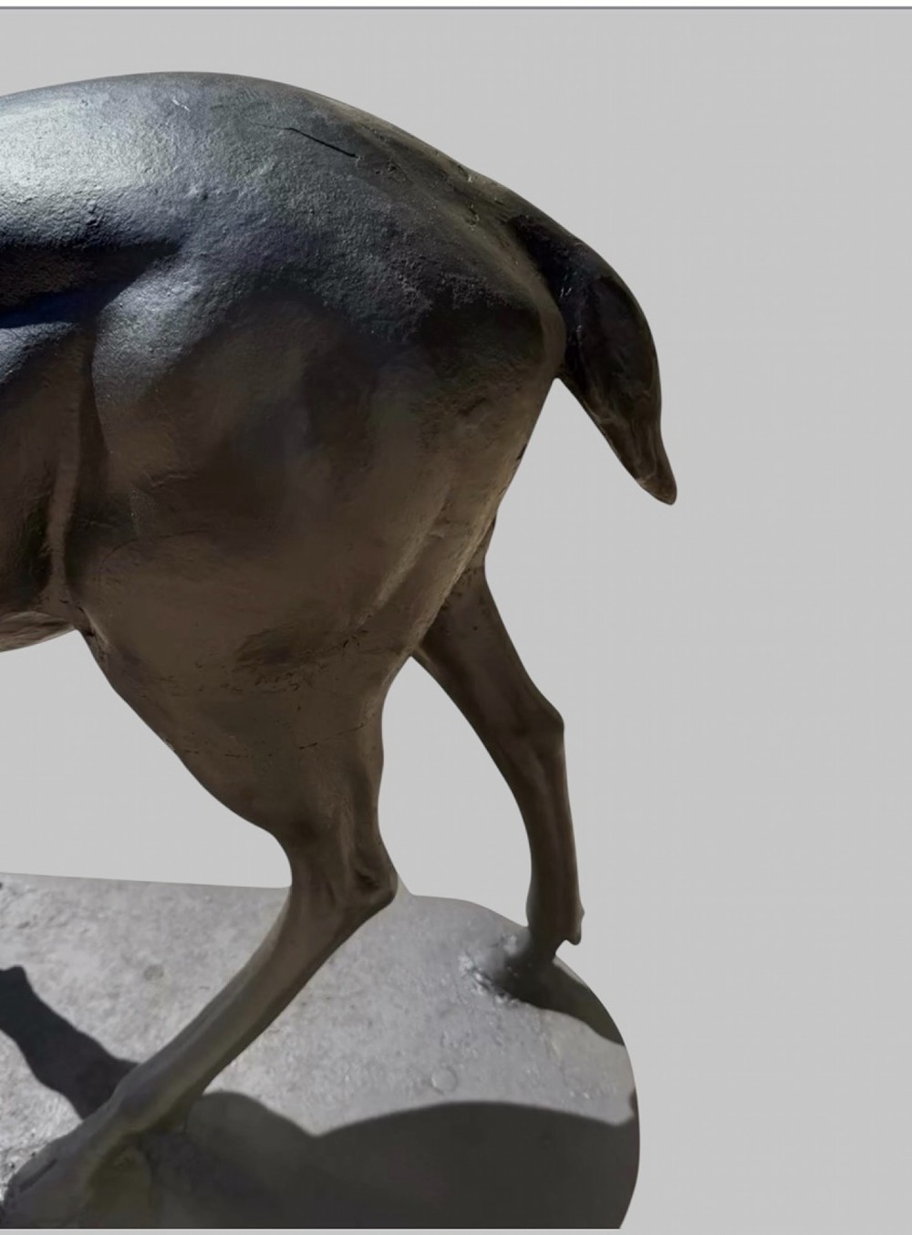 A patinated dark bronze sculpture depicting a standing young stag with antlers fixed onto an oval base. View V