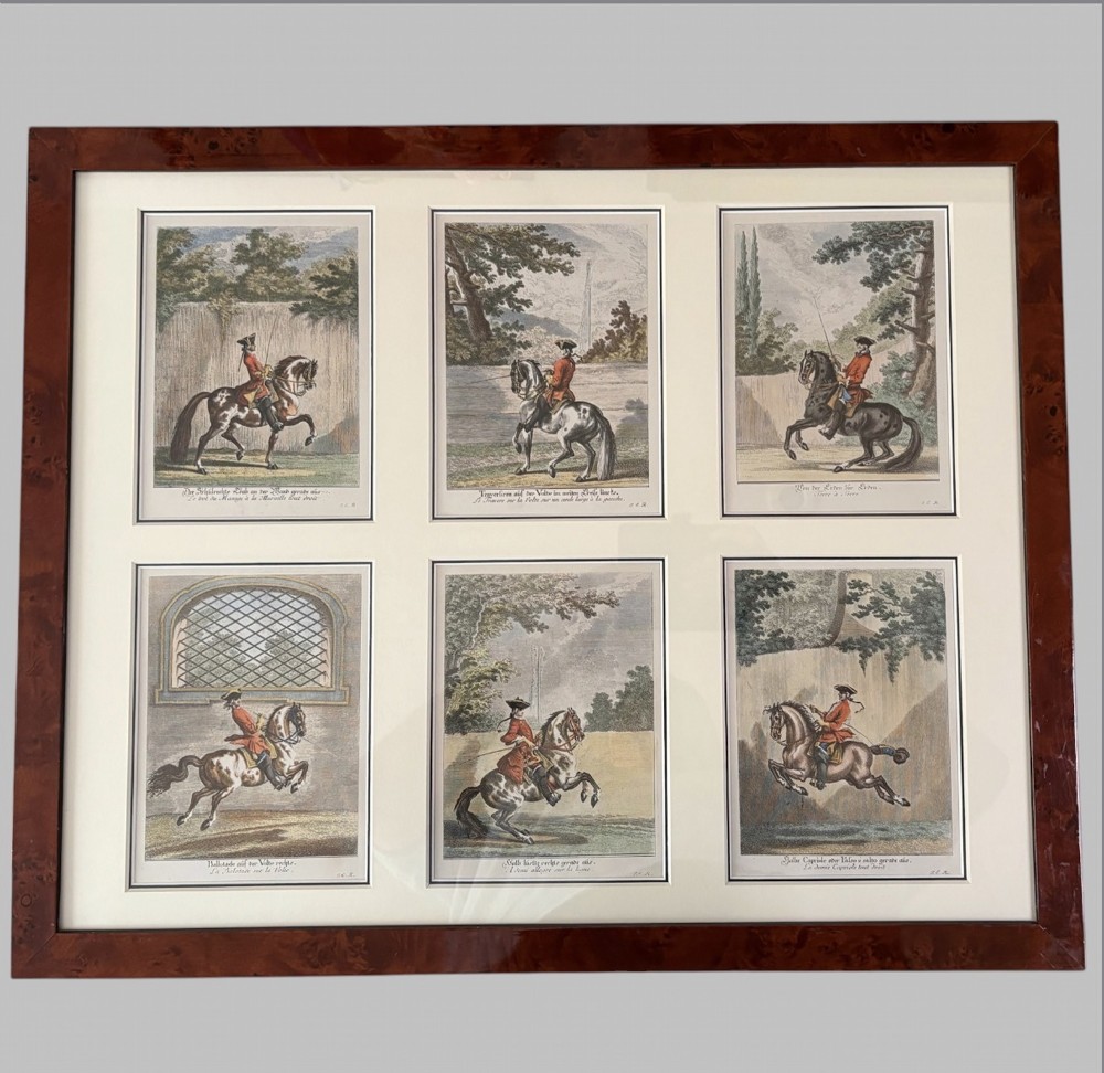 A large burr wood framed set of six hand-coloured 18th-century copperplate engravings depicting equestrian dressage riders on horseback.