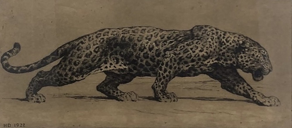 A framed monochrome sepia etching depicting a prowling leopard, signed and dated HD 1922 in the plate, set within a cream mount and gilt frame. View III