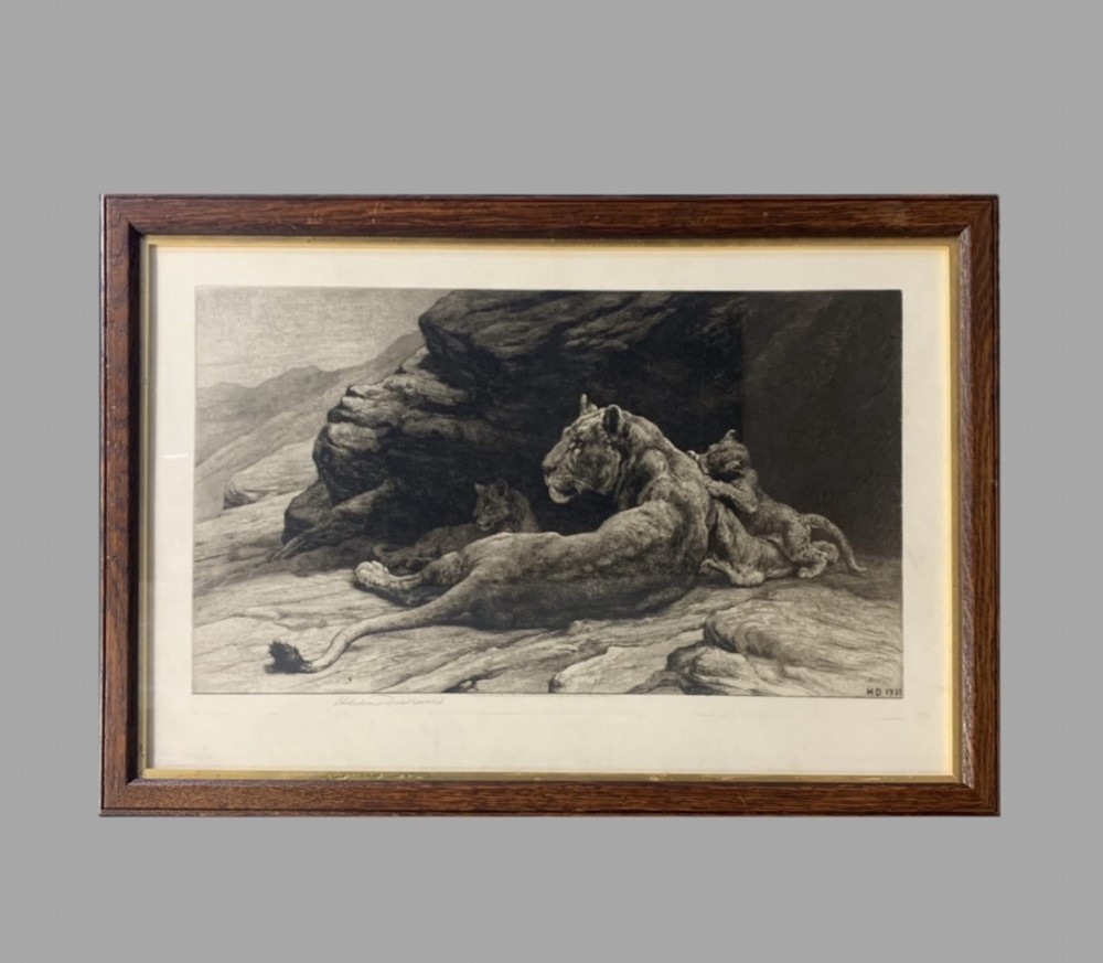 A framed monochrome etching on vellum depicting a lioness resting on rocks beside her cubs, housed in a rectangular dark oak frame.