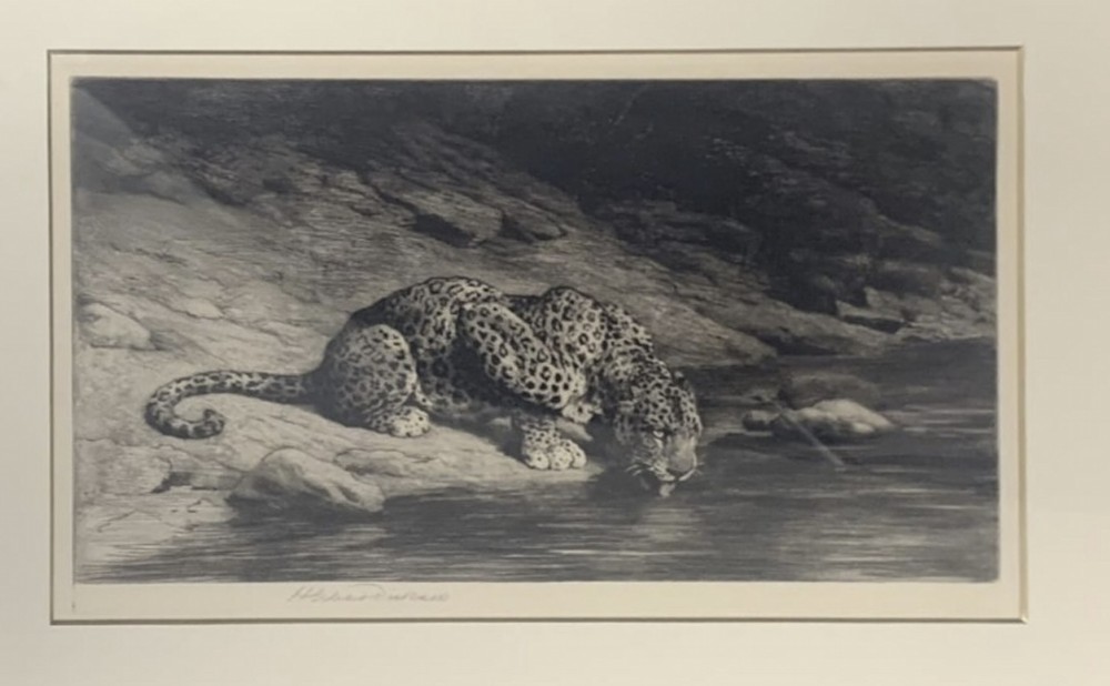 A framed monochrome etching depicting a crouching leopard drinking water from a stream against a rocky background. View II