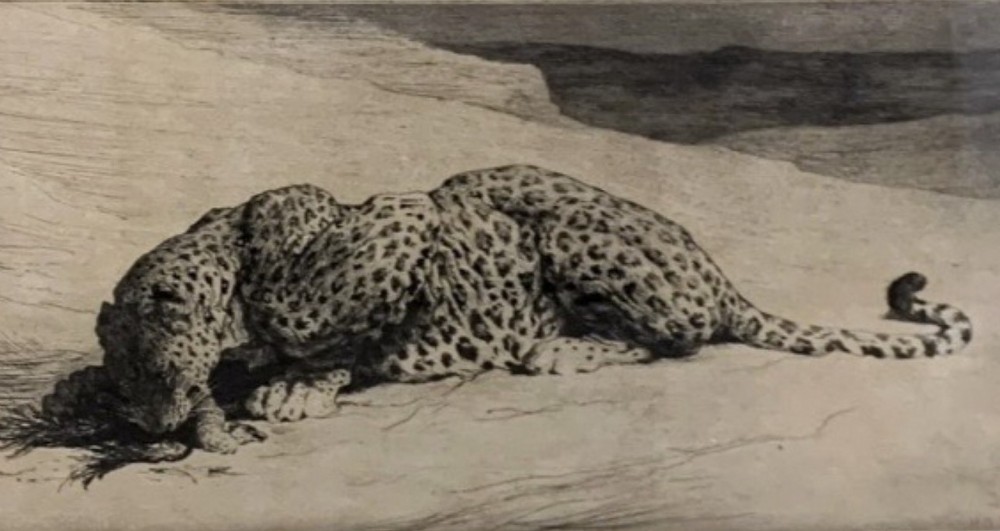 A horizontal monochrome etching depicting a leopard crouching on sandy ground, presented in a cream mount and slim gilt frame. View III