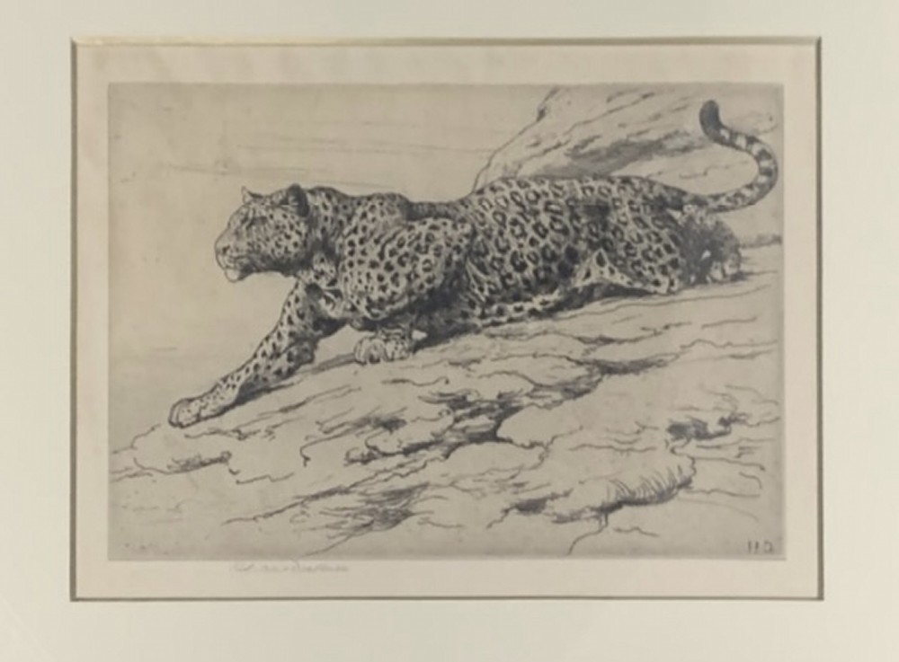 A framed monochrome etching by Herbert Dicksee depicting a leopard crawling on a rocky hillside within a cream mount and gold frame. View II