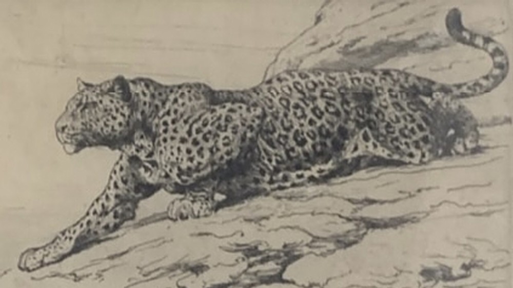 A framed monochrome etching by Herbert Dicksee depicting a leopard crawling on a rocky hillside within a cream mount and gold frame. View III