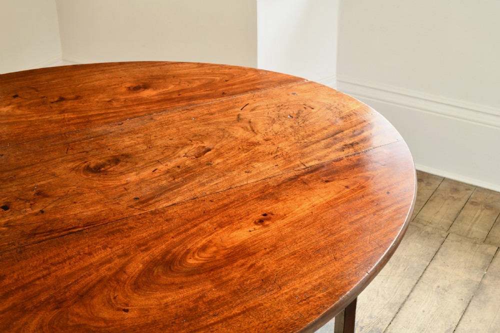 An 18th-century Irish mahogany hunt table featuring an oval drop-leaf top supported by straight wooden legs. View III