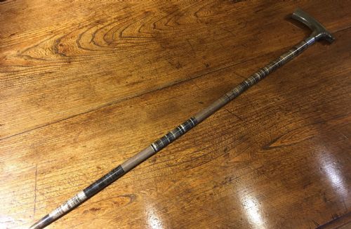 Edwardian Horn Walking Stick