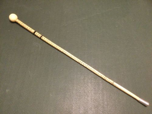 Shark Vertebrae “Swagger” Stick