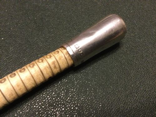 fig 1. SHARK VERTEBRAE “SWAGGER” STICK