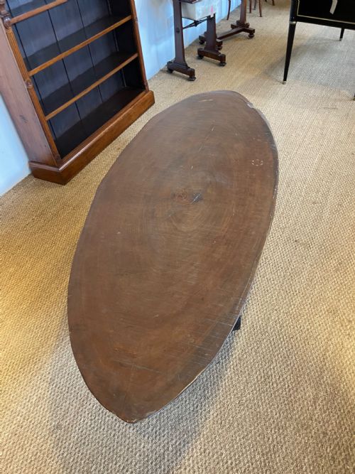 Large Tree Trunk Coffee Table