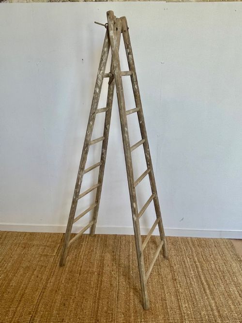 Early 20th Century Ladder